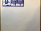 PROMO ONLY / BRUCE SPRINGSTEEN TUNNEL OF LOVE