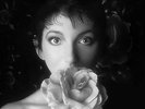 KATE BUSH - REMASTERED IN VINYL 2 II - 3 X ALBUM BOX SET HOUNDS OF LOVE ETC.