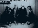 WISHBONE ASH PORTSMOUTH 1980 (BLACK VINYL 2LP) VINYL LP NEW