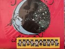 FIDDLEHEAD - Between The Richness / Vinyl Record Release Cover