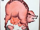 INCREDIBLE HOG LP RARE OG FRENCH PRESS COLUMBIA ALT. MINT COVER