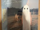 Phoebe Bridgers - Stranger In The Alps GALAXY COLORED Vinyl LP 5th Anniversary