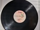 Stooges - Fun House  Rare LP,No Cover