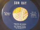 Frantic Garage Punk Burner 45 The Chain Gang You're No Good SUN RAY HEAR