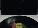 Rare Damian Marley Welcome To Jamrock 12” Vinyl Record Promo JR Gong