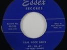 Bill Haley & Haley's Comets 