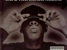 Black Album by Jay-Z (Record, 2003) Sealed Mint