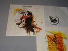 PETER DOHERTY - GRACE WASTELANDS / EU-VINYL-LP 2009 (MINT-) & INLET