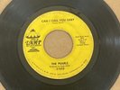 The Pearls - Can I Call You Baby/Shooting High * Lamp 653 Sweet Soul 45 Hear