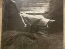 BILL EVENS JIM HALL UNDERCURRENT MFSL SEALED & MINT LP