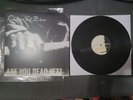 Children Of Bodom Are You Dead Yet Rare Vinyl Metal Slipknot In Flames HIM alexi