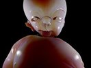 ARCA &&&&& LP NEW VINYL Pan reissue
