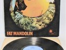 JOHNNY YOUNG ‘Fat Mandolin’ 1970 Vinyl LP on Blue Horizon A1/B1 – B22