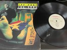 Ice Cube - Death Certificate LP 1991 Original Pressing in Picture Cover