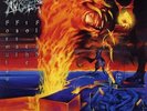 MORBID ANGEL - FORMULAS FATAL TO THE FLESH 2X VINYL LP REISSUE (NEW)