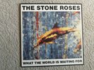 Vinyl 12