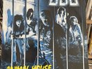 U.D.O. Animal House RARE 1987 RCA PL 71 552 VG+/VG+ 1st German Press ACCEPT UDO