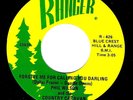 TWANGY MICHIGAN HONKY TONK 