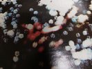 Pink Floyd - Obscured by Clouds 1972 LP Vinyl Record  (The Valley)