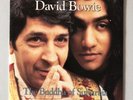 DAVID BOWIE The Buddha Of Suburbia 7