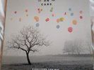 WALKING ON CARS.. EVERYTHING THIS WAY..ROCK/INDIE 2015 vinyl  album ex. cond.