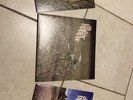 the dear hunter vinyls acts I, II, and III
