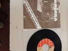 CANTO DI CAMORRA 45 GIRI (SIGLA TV)) OTTIME CONDIZIONI