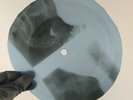 MAMA CASS DREAM A LITTLE DREAM X-Ray USSR Record Roentgen Bones Ribs Music Vinyl