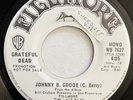 * GRATEFUL DEAD Johnny B. Goode RARE 1972 US MONO PROMO Fillmore Warner Bros. 45