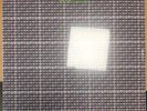 Nits ‎– Knot LP Vinyl