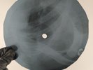 STOOGES I WANNA BE YOUR DOG X-Ray USSR Record Roentgen Bones Ribs Music Vinyl
