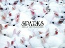 Sparks - Hello Young Lovers [2-lp] - NEW Sealed Vinyl LP Album
