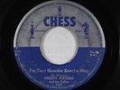 Blues 45 - Muddy Waters - I'm Your Hoochie Kooche Man - Chess - mp3