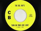 Garage 45 - Del Ray's - Turn On Your Love Light - CB - mp3