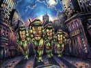 TEENAGE MUTANT NINJA TURTLES VINYL LP - WAXWORK RECORDS - BROWN & GREY - SEALED