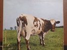 PINK FLOYD ATOM HEART MOTHER VINYL LP 1971