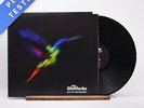 The Sherlocks - Live For The Moment - Gatefold LP Vinyl Record - EX/NM
