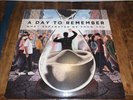 A Day To Remember What Separates Me from You (Record, 2013) W Insert VINYL LP