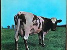 Pink Floyd Atom Heart Mother Vinyl LP Record VG+
