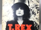 Tested - T. Rex The Slider 1972 Reprise Records Glam Rock LP - VG+/VG