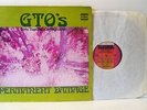 GTO'S (GIRLS TOGETHER OUTRAGEOUSLY) permanent damage (1st uk press) LP, vinyl