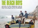 The Beach Boys Surfin' Safari (Vinyl) 12