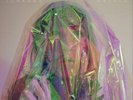 Johanna Warren Lessons for Mutants (Vinyl) (US IMPORT)