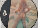 Madonna MLVC 1992 LP vinile Picture Disc J 002