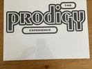 Experience by The Prodigy (Record, 2008)