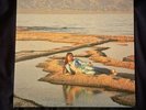 Weyes Blood Front Row Seat To Earth SEAFOAM GREEN Color Vinyl LP x/300 Family Ed