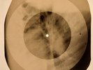 Elvis Presley - Too Much X-RAY BONES RECORDS USSR 20