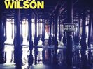 Brian Wilson No Pier Pressure Vinyl NEW/SEALED 2 LP