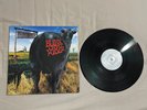 blink-182 Dude Ranch 12