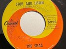 1967 Garage Rock 45 - THE SHAG 
